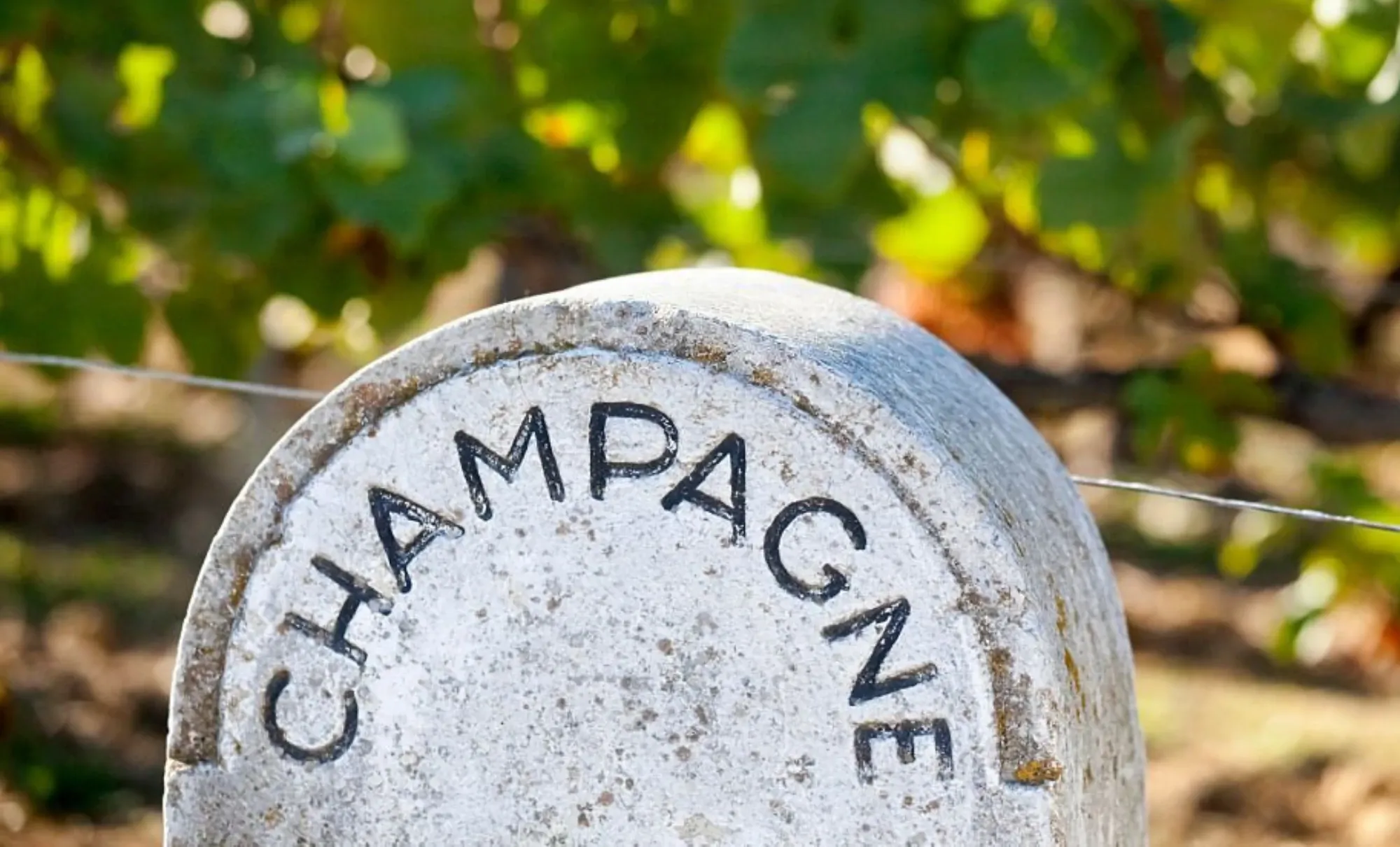 Champagne: O vinho espumante mais famoso do mundo