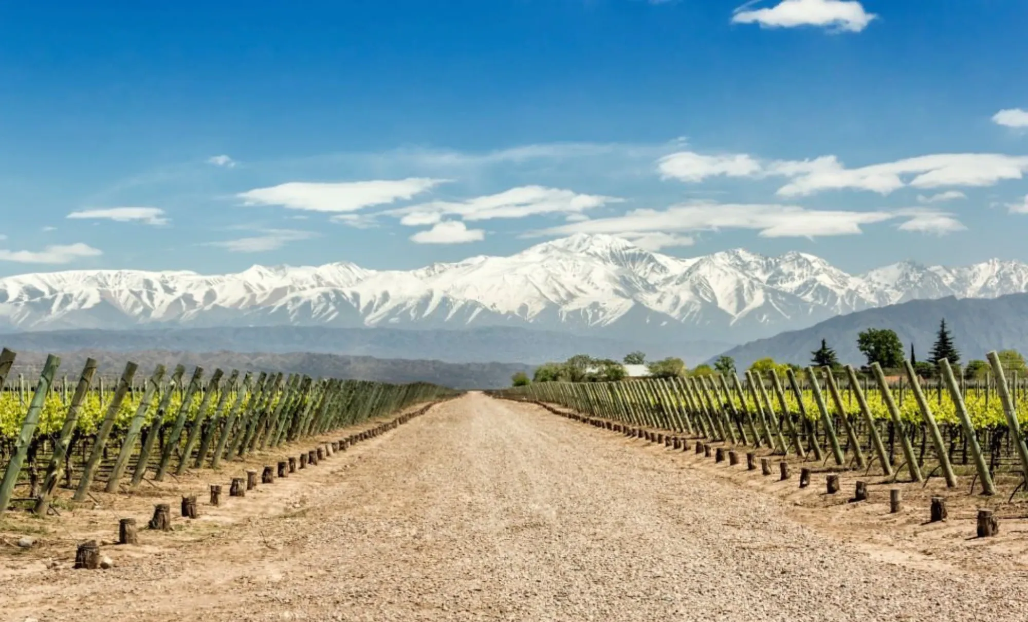 Mendoza, a maior região vinícola da Argentina