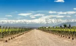 Mendoza, a maior região vinícola da Argentina